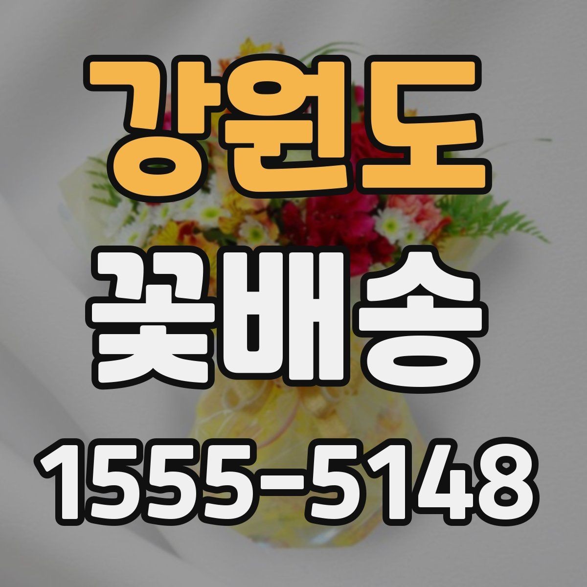 강원도 꽃배송 원하는 메시지를 담는 방법