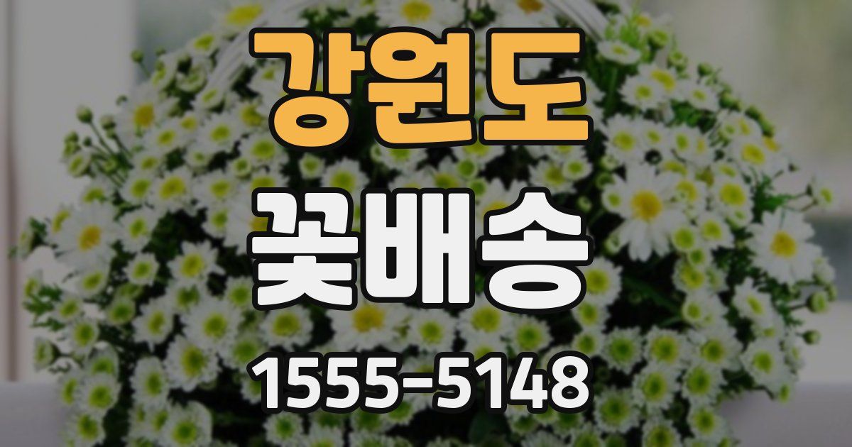 강원도 꽃배송
