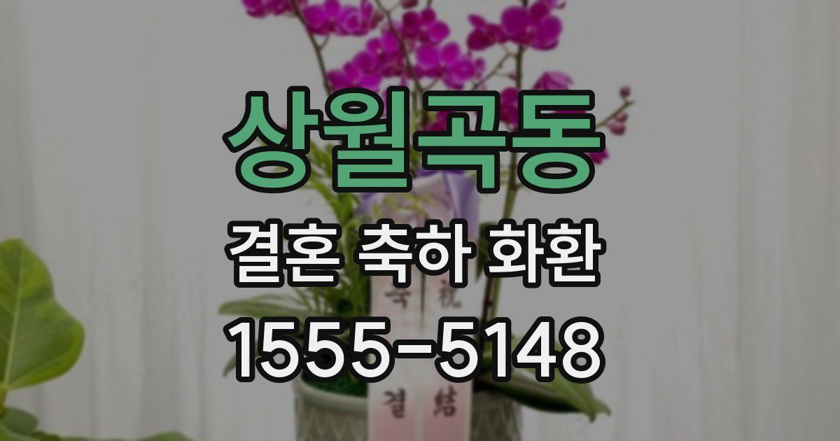 상월곡동 결혼 축하 화환