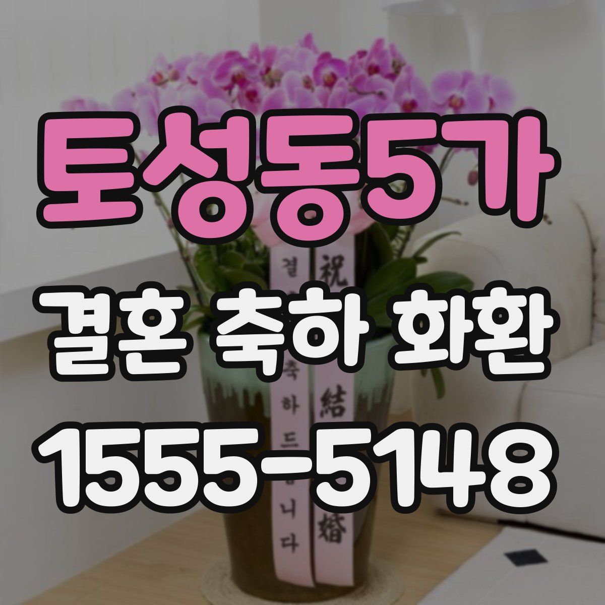 토성동5가 결혼 축하 화환