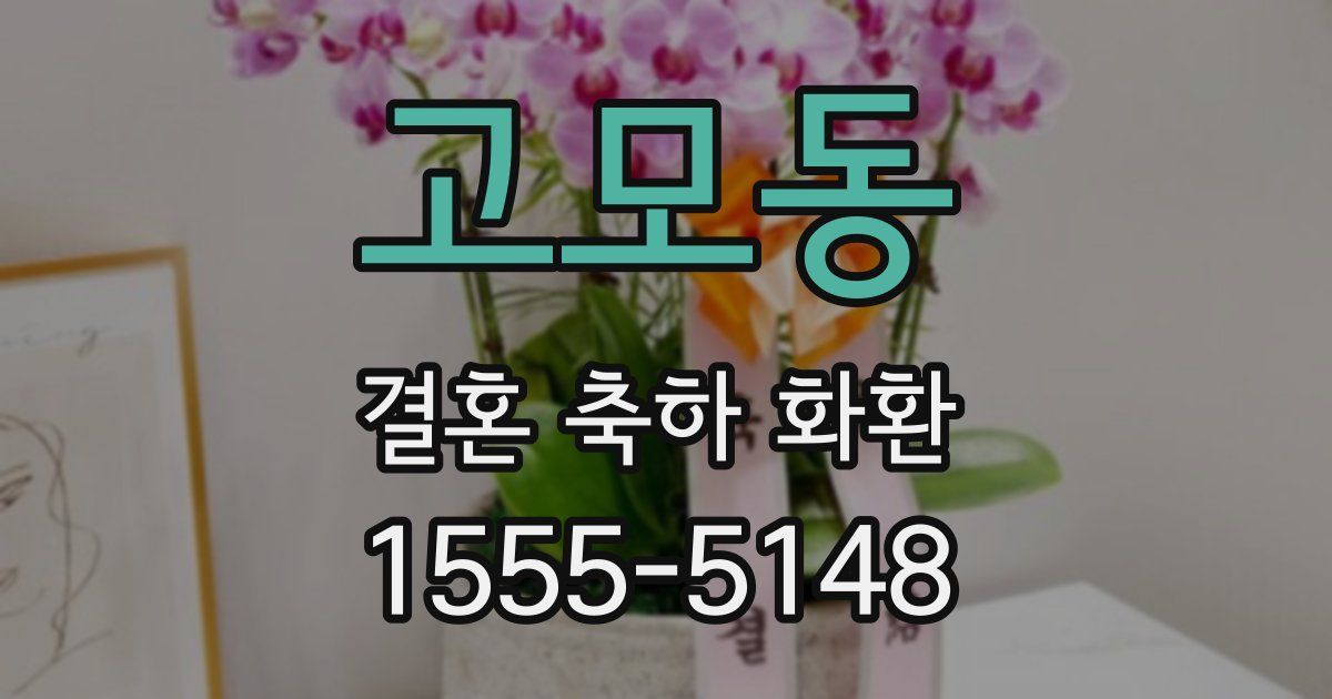 고모동 결혼 축하 화환