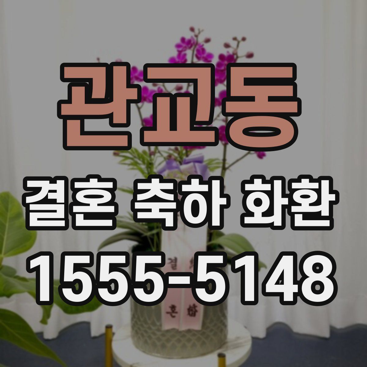 관교동 결혼 축하 화환