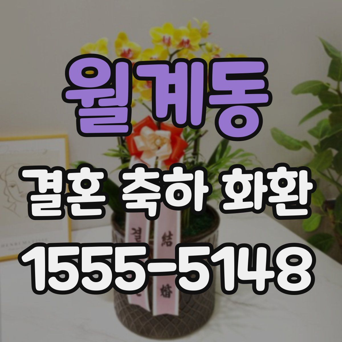 월계동 결혼 축하 화환