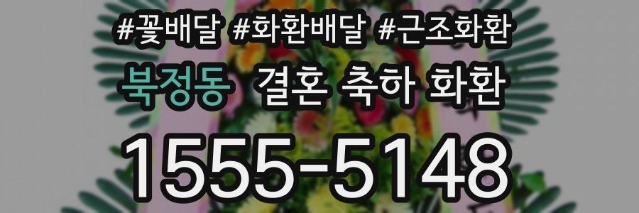 북정동 결혼 축하 화환
