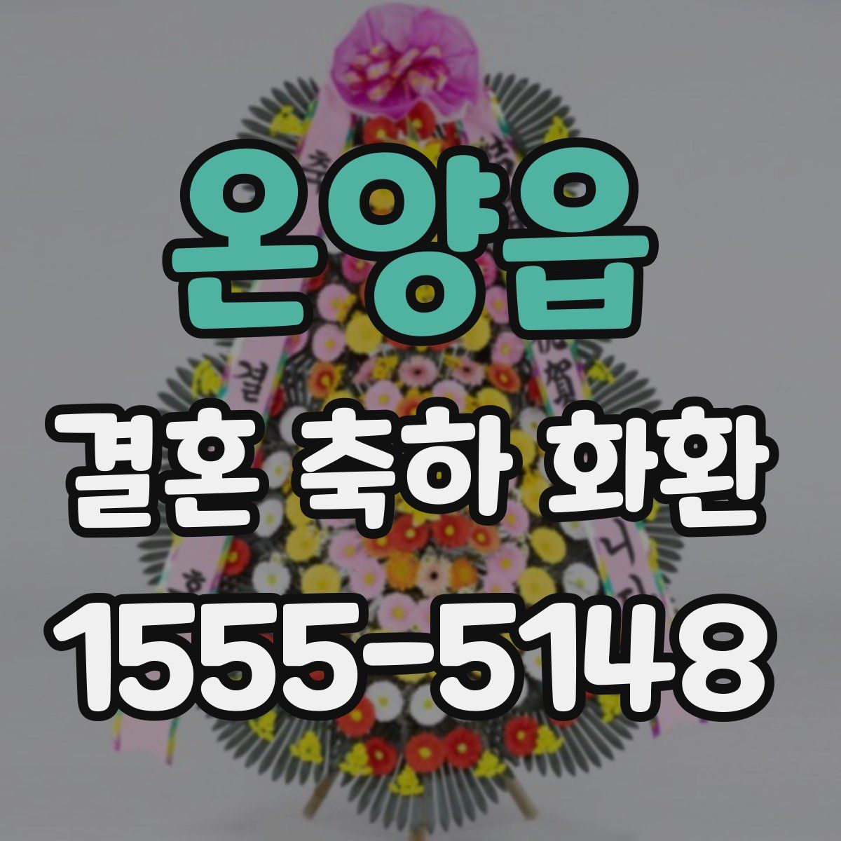 온양읍 결혼 축하 화환