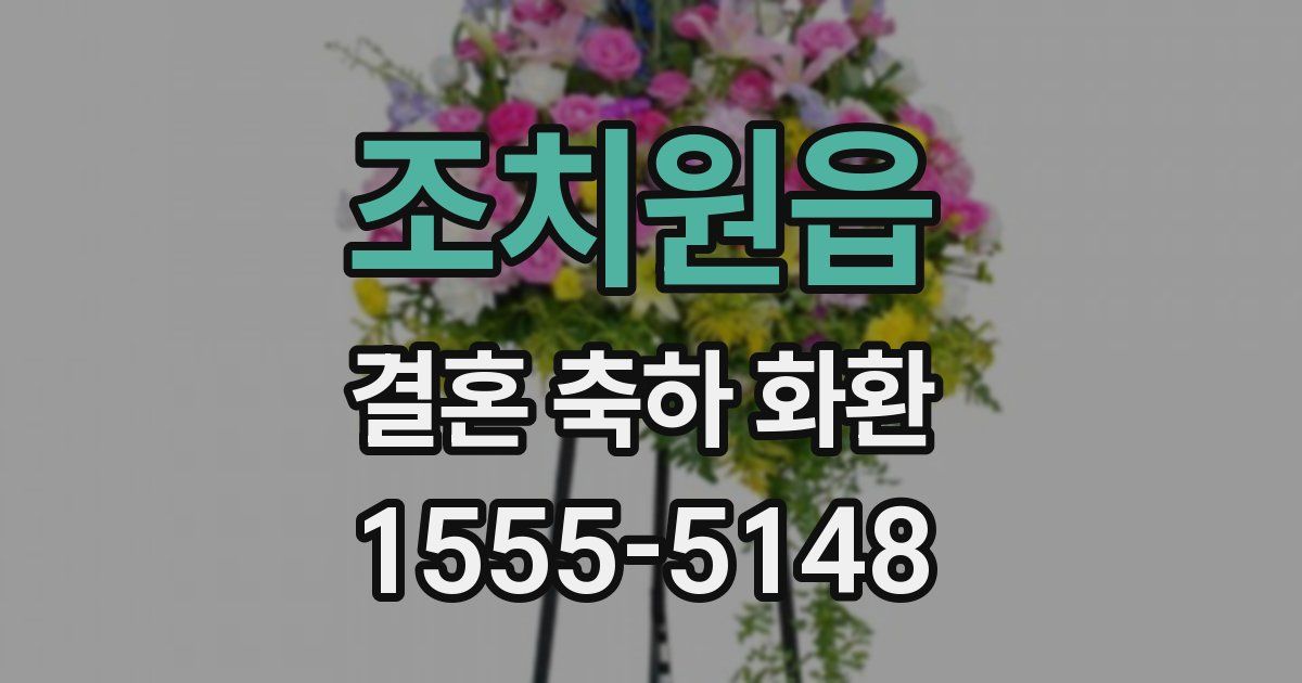 조치원읍 결혼 축하 화환