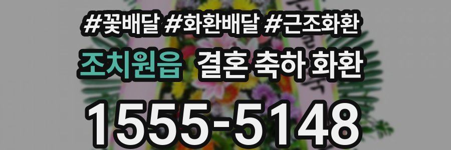 조치원읍 결혼 축하 화환