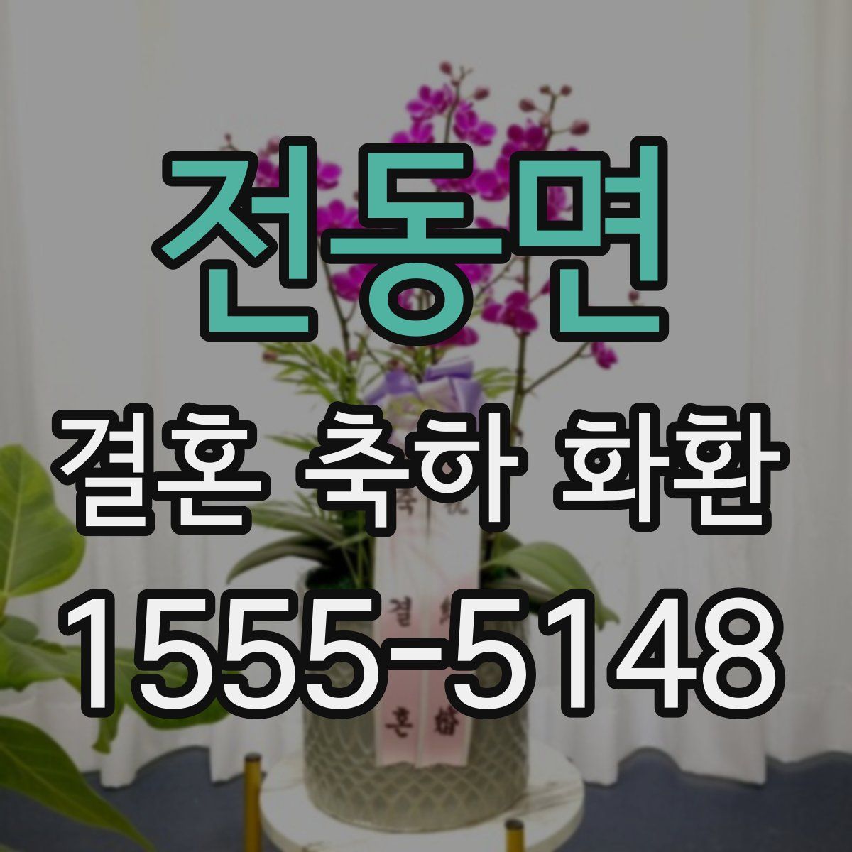 전동면 결혼 축하 화환