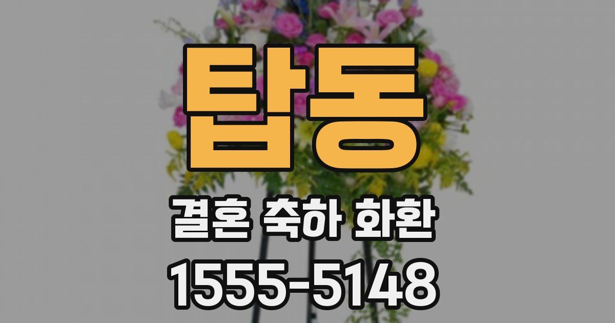 탑동 결혼 축하 화환