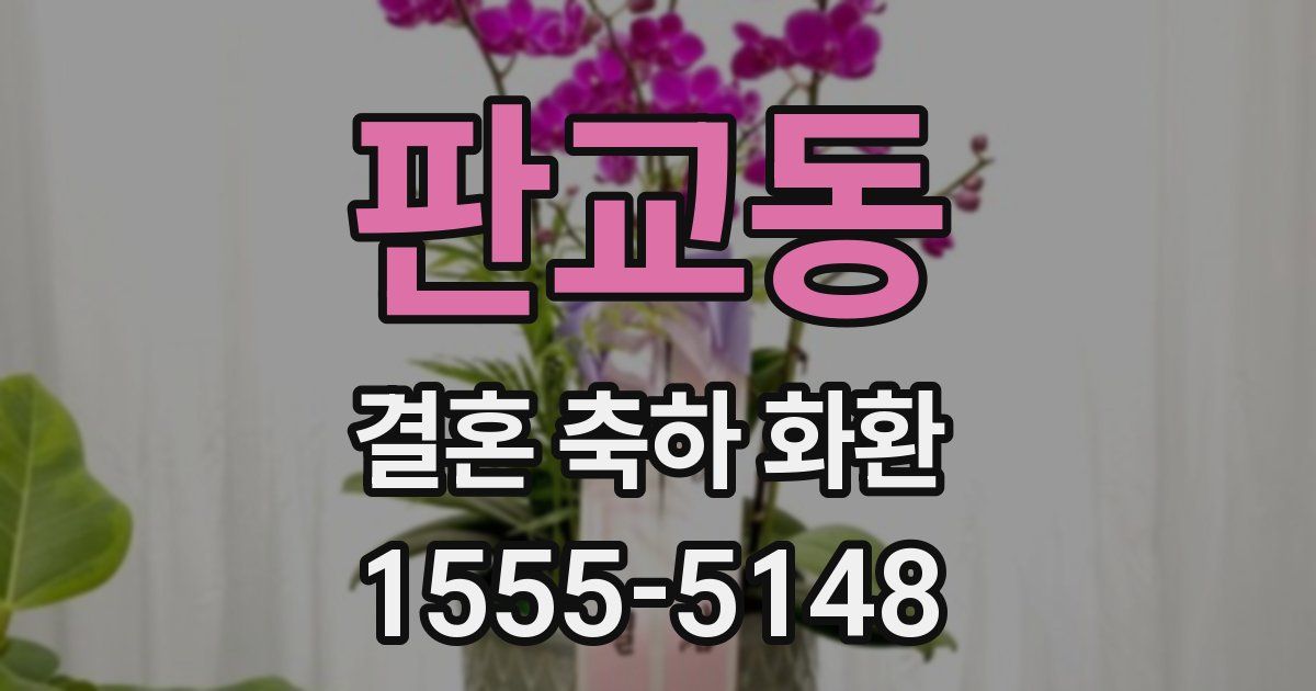 판교동 결혼 축하 화환