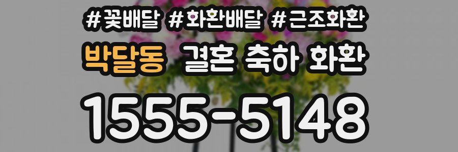 박달동 결혼 축하 화환