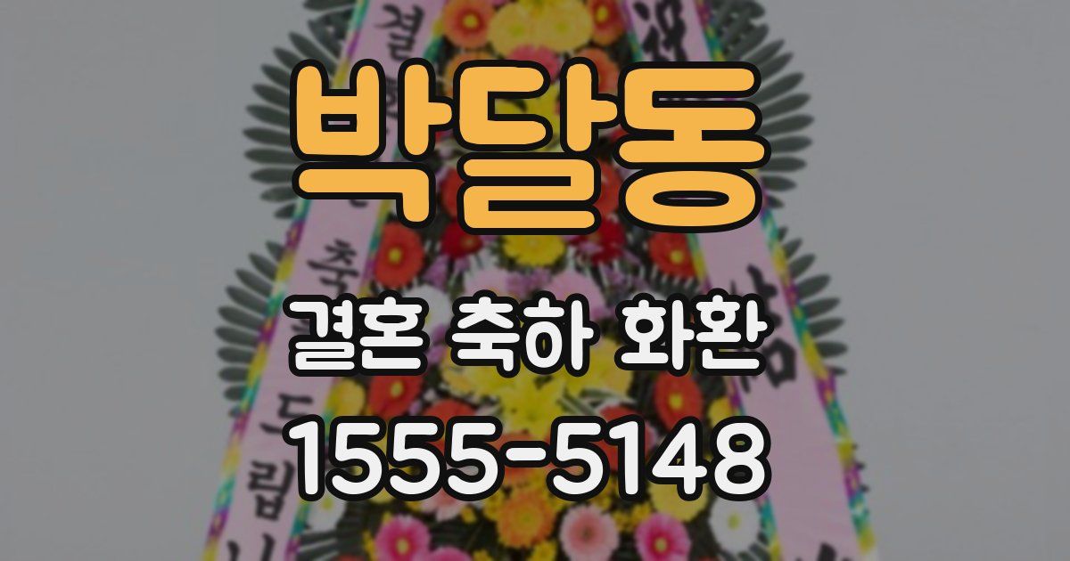 박달동 결혼 축하 화환