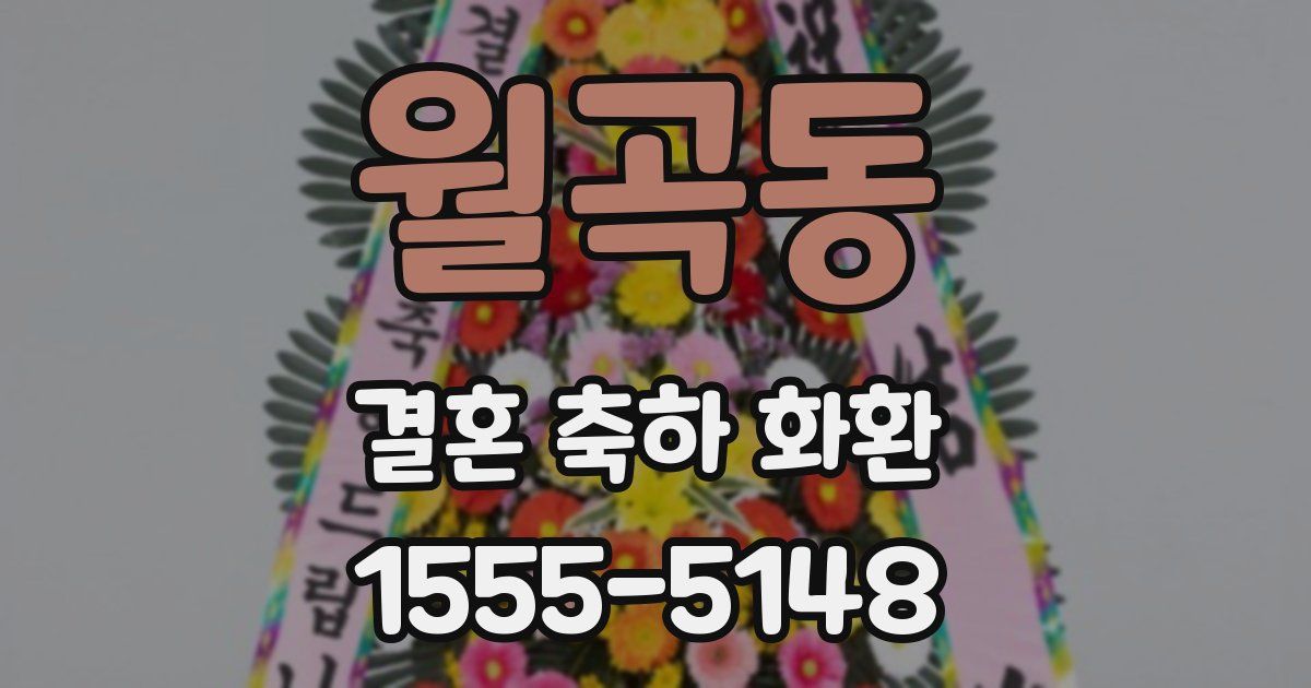 월곡동 결혼 축하 화환