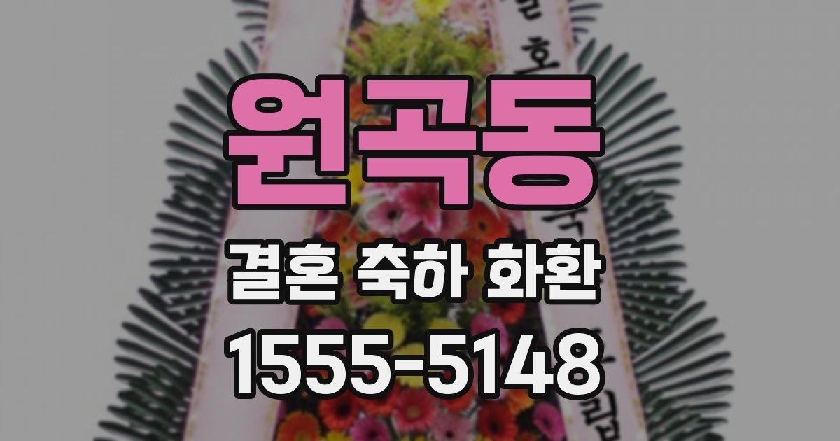 원곡동 결혼 축하 화환
