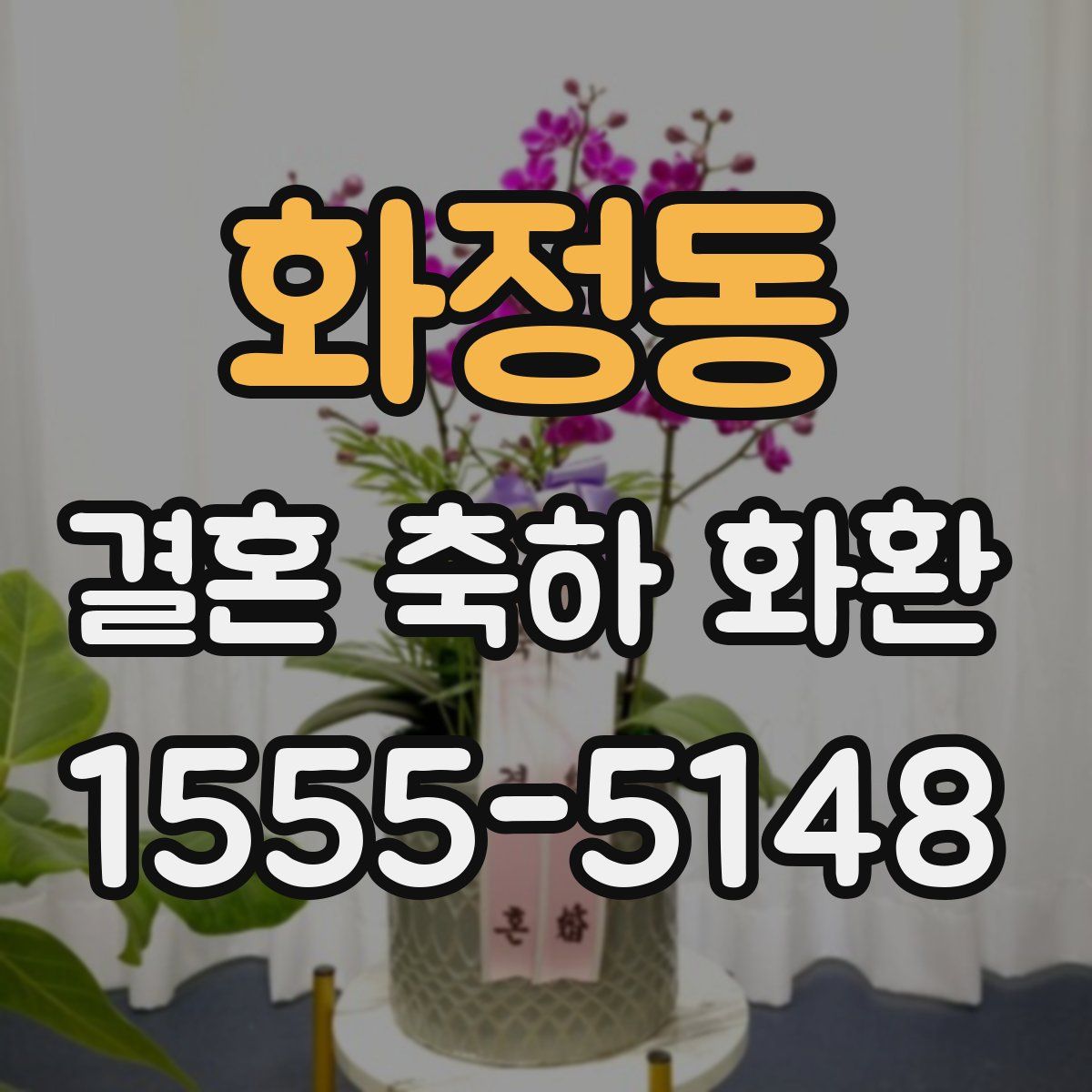 화정동 결혼 축하 화환