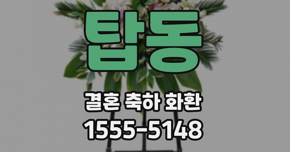 탑동 결혼 축하 화환