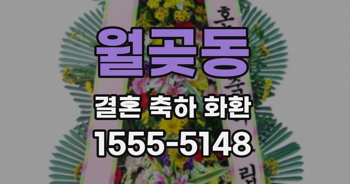 월곶동 결혼 축하 화환