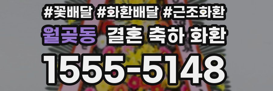 월곶동 결혼 축하 화환