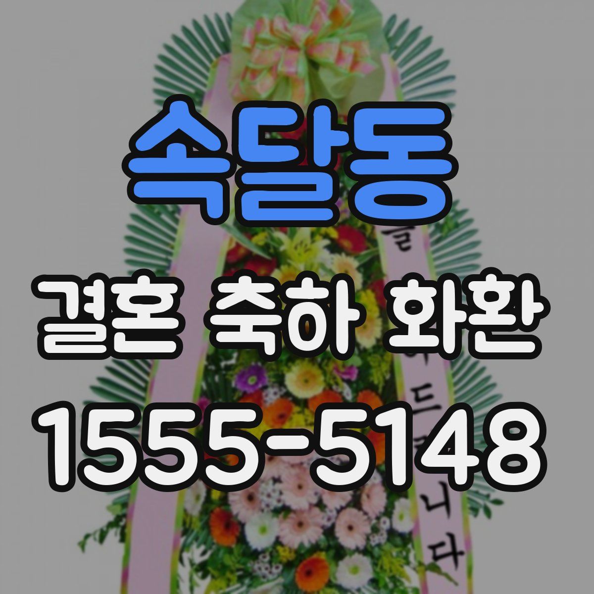 속달동 결혼 축하 화환