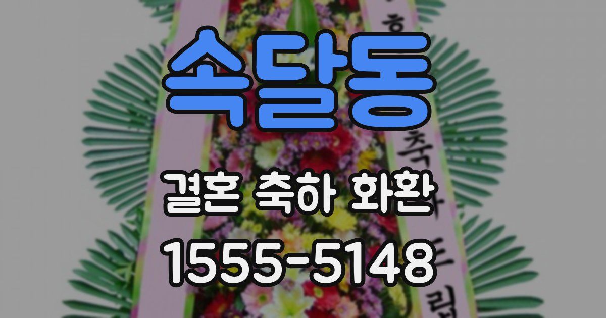속달동 결혼 축하 화환