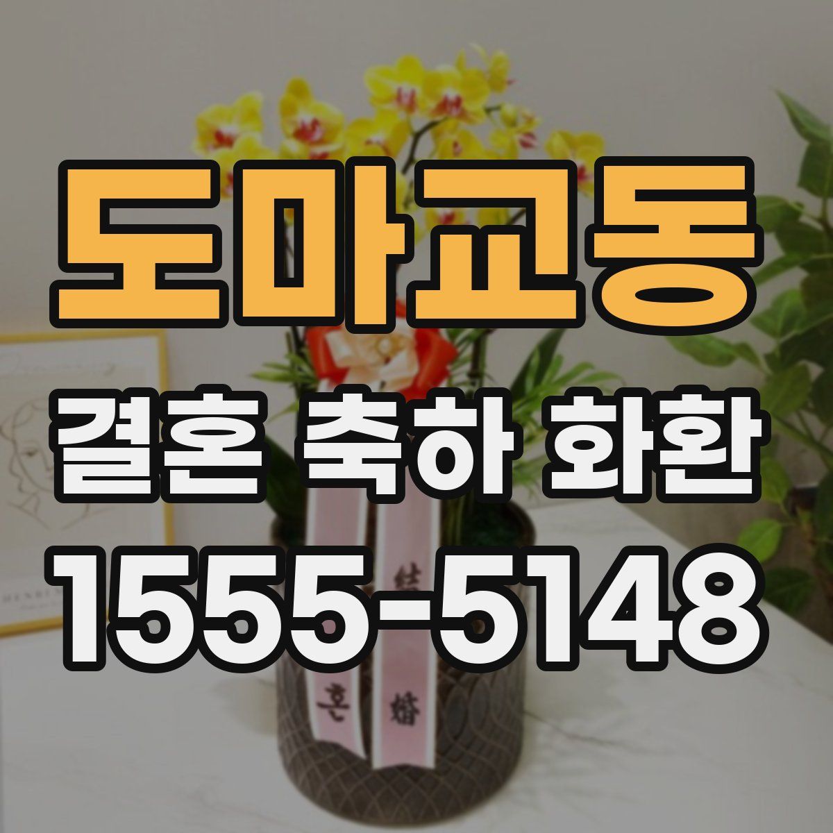 도마교동 결혼 축하 화환