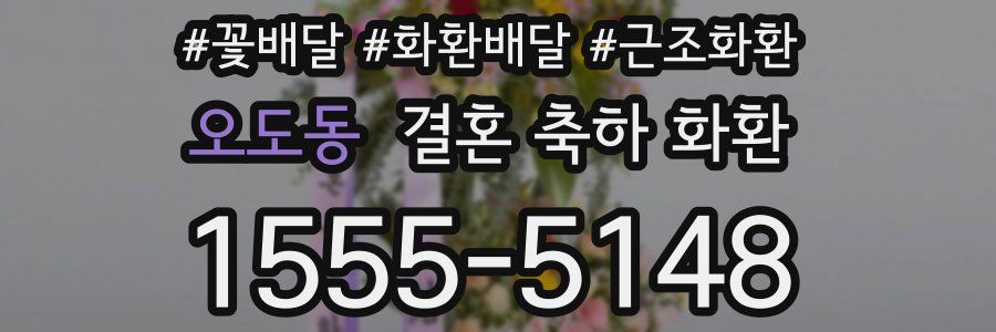 오도동 결혼 축하 화환
