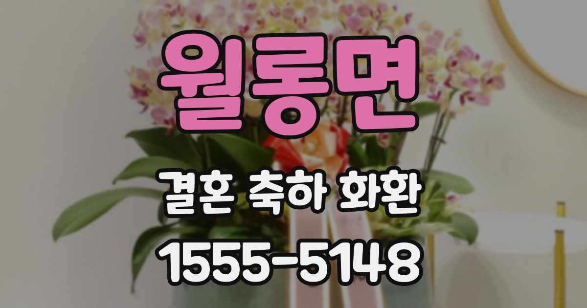 월롱면 결혼 축하 화환