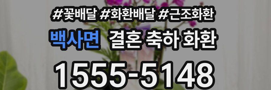 백사면 결혼 축하 화환