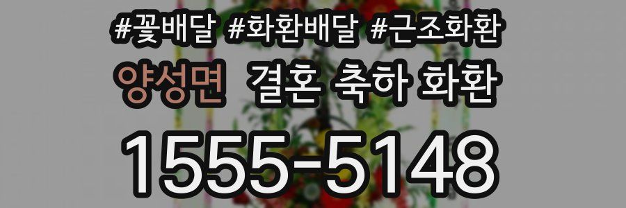 양성면 결혼 축하 화환