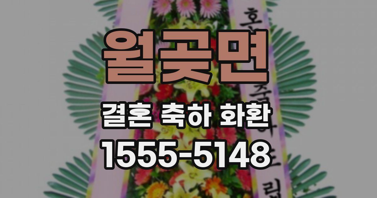 월곶면 결혼 축하 화환