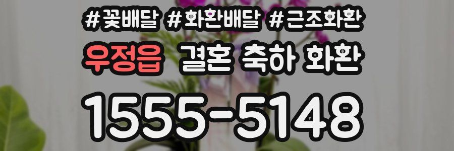 우정읍 결혼 축하 화환