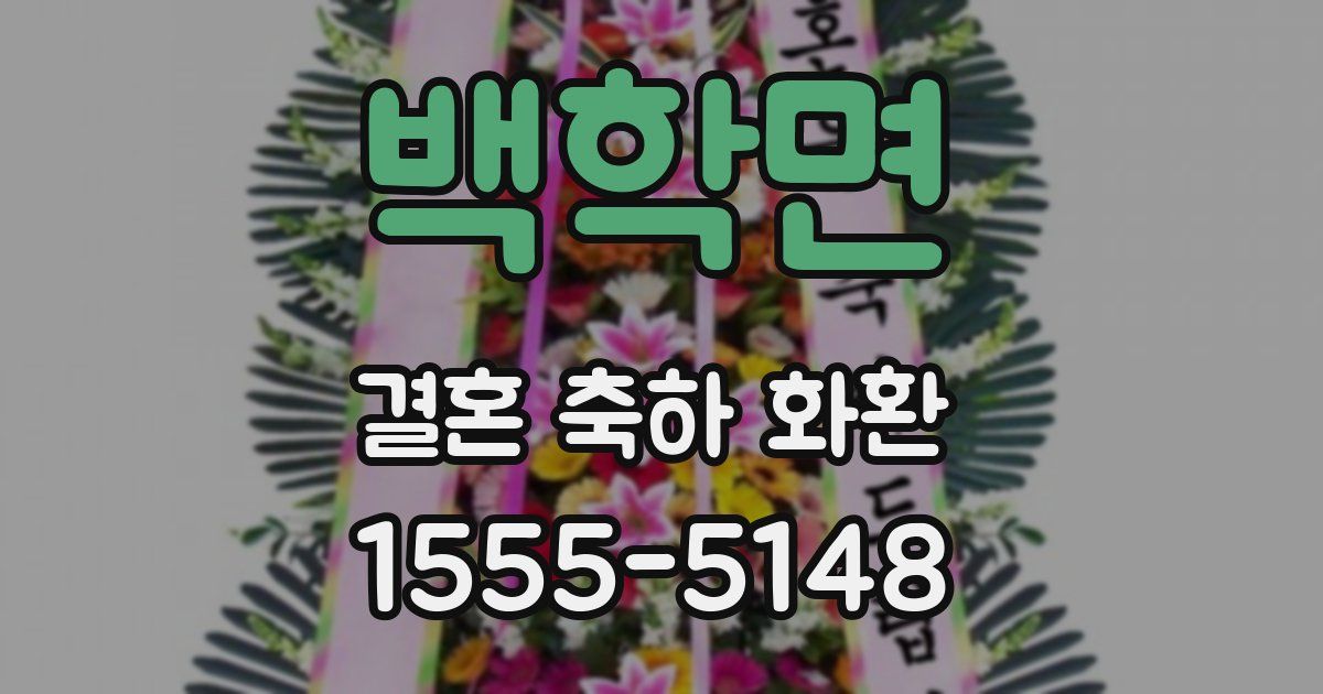 백학면 결혼 축하 화환