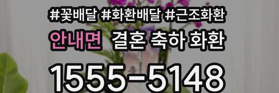 안내면 결혼 축하 화환