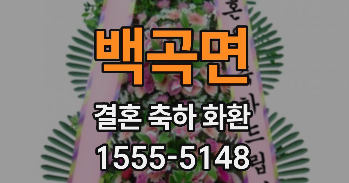 백곡면 결혼 축하 화환