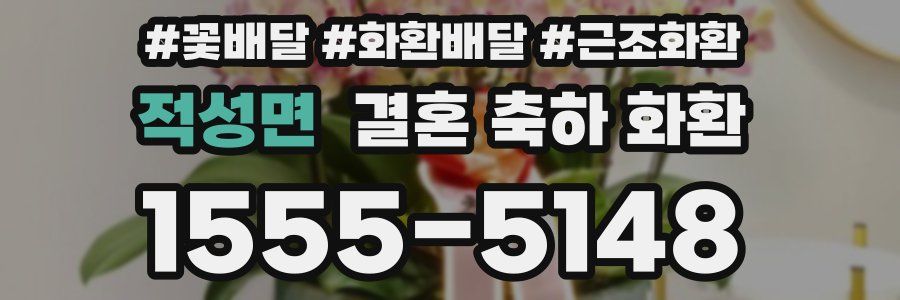 적성면 결혼 축하 화환