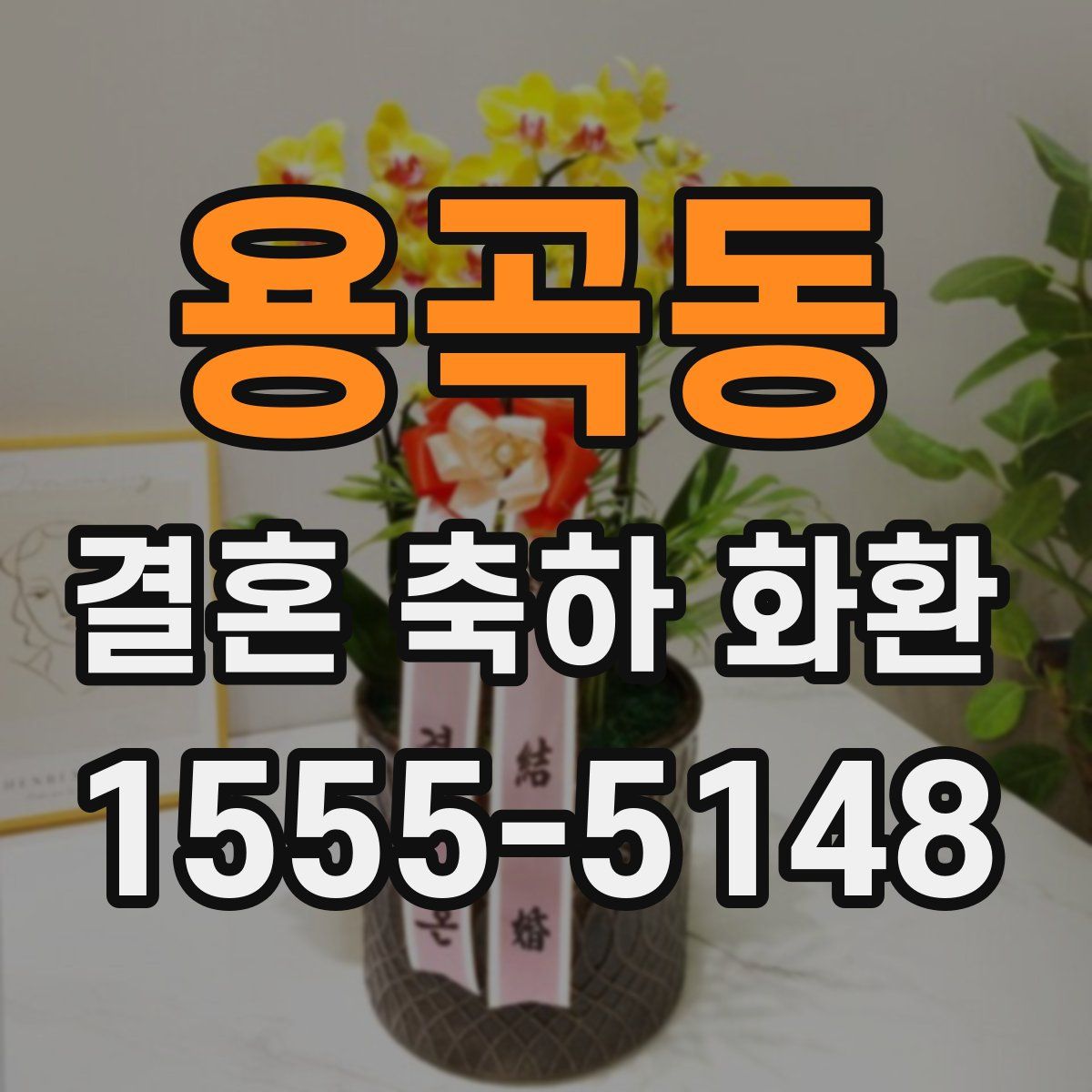 용곡동 결혼 축하 화환