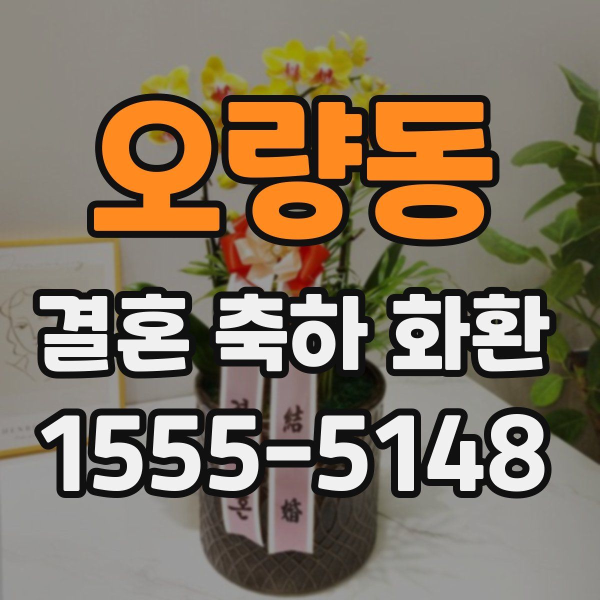 오량동 결혼 축하 화환