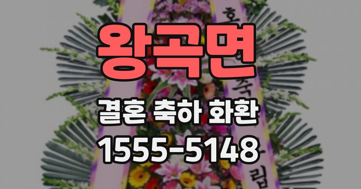 왕곡면 결혼 축하 화환