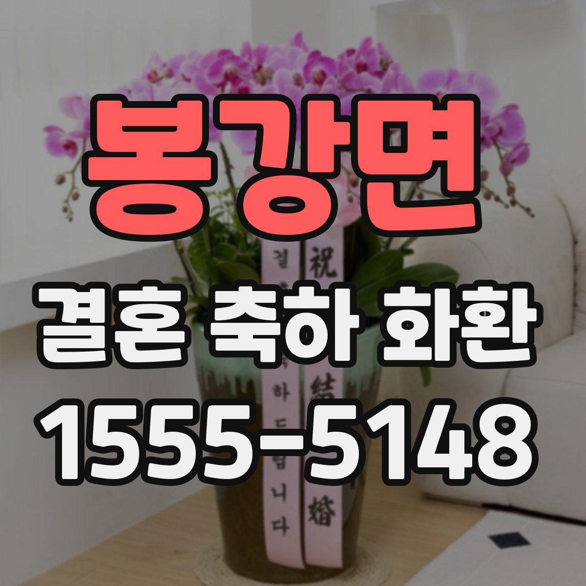 봉강면 결혼 축하 화환