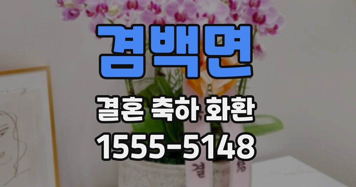 겸백면 결혼 축하 화환