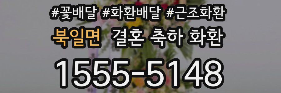 북일면 결혼 축하 화환