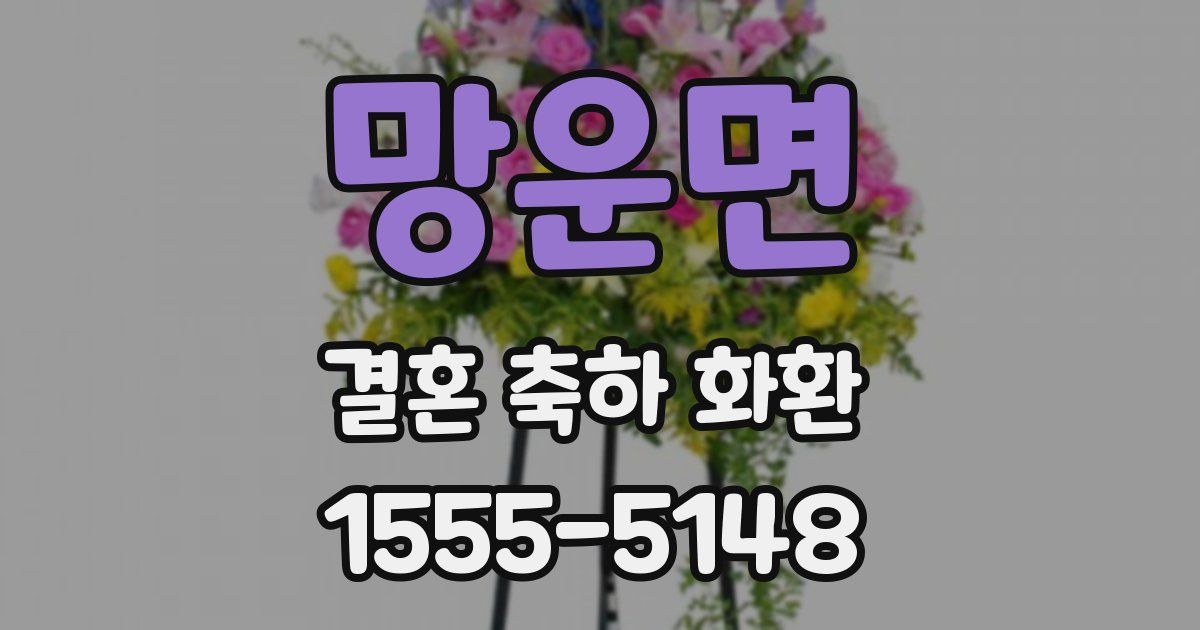 망운면 결혼 축하 화환