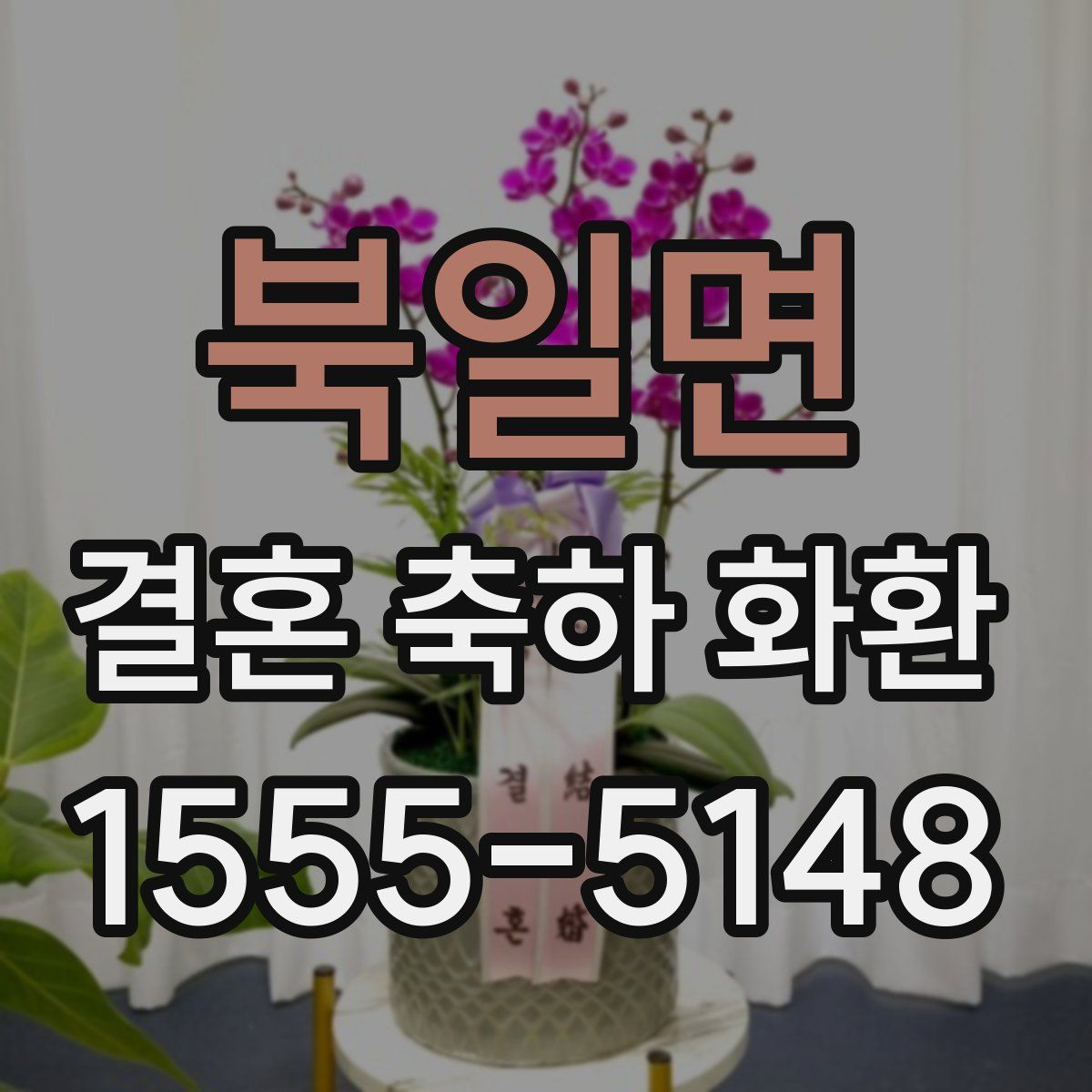 북일면 결혼 축하 화환