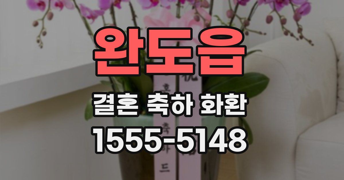 완도읍 결혼 축하 화환