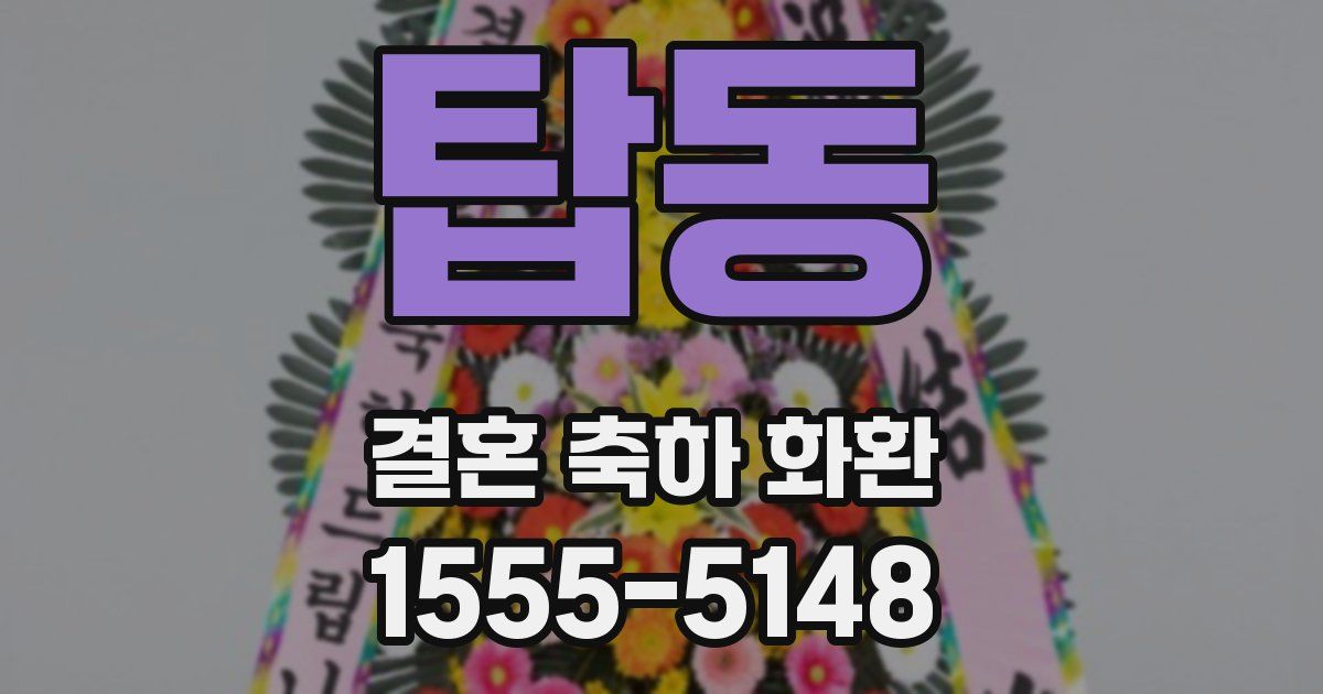 탑동 결혼 축하 화환