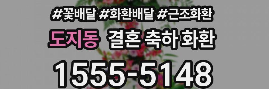 도지동 결혼 축하 화환