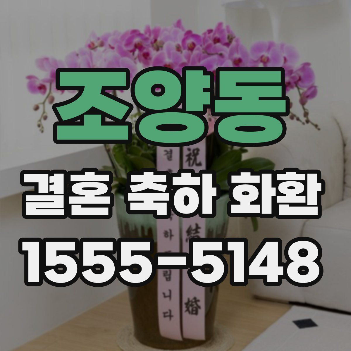 조양동 결혼 축하 화환
