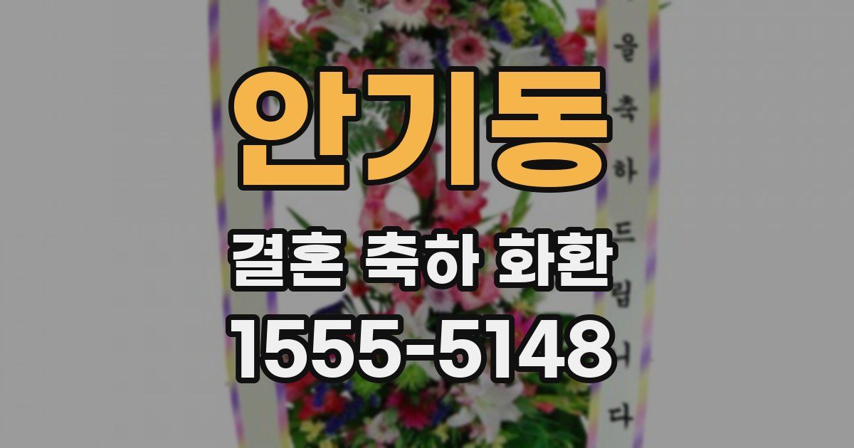 안기동 결혼 축하 화환