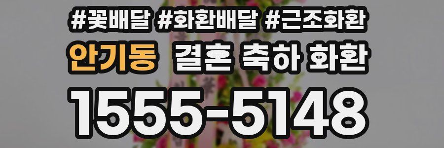 안기동 결혼 축하 화환