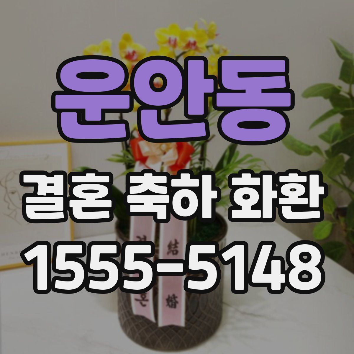 운안동 결혼 축하 화환